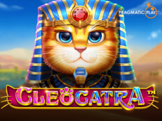 Cats casino86